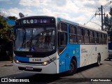 Transwolff Transportes e Turismo 6 6446 na cidade de São Paulo, São Paulo, Brasil, por Pedro Fernandes. Número da foto: #:id.