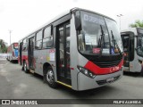 Pêssego Transportes 4 7309 na cidade de Barueri, São Paulo, Brasil, por FELIPE ALMEIDA. Número da foto: #12583372.