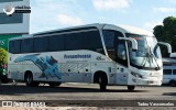 Viação Pernambucana Transporte e Turismo 313 na cidade de Petrolina, Pernambuco, Brasil, por Tadeu Vasconcelos. Número da foto: #12581691.