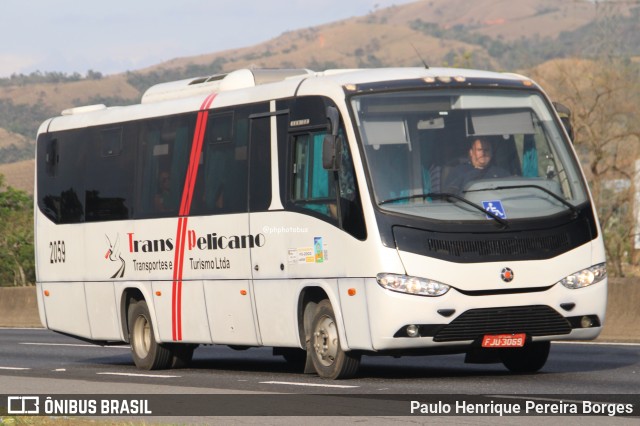 Trans Pelicano 2059 na cidade de Roseira, São Paulo, Brasil, por Paulo Henrique Pereira Borges. Número da foto: #12586725.