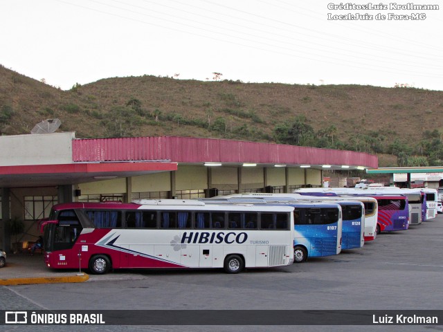 Hibisco Turismo 900 na cidade de Juiz de Fora, Minas Gerais, Brasil, por Luiz Krolman. Número da foto: #12586593.
