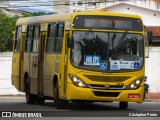 Transporte Tropical 4298 na cidade de Aracaju, Sergipe, Brasil, por Cristopher Pietro. Número da foto: #:id.