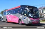 Agência de Viagens L&G Turismo 2024 na cidade de Holambra, São Paulo, Brasil, por George Miranda. Número da foto: #12585771.