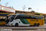 Empresa Gontijo de Transportes 19595 na cidade de João Monlevade, Minas Gerais, Brasil, por Rodrigo Matheus. Número da foto: #12585692.