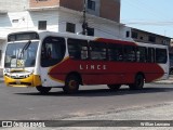 Lince 13 na cidade de Asunción, Paraguai, por Willian Lezcano. Número da foto: #12584316.