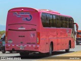 TRACOPA - Transportes Costarricenses Panameños 36 na cidade de Alajuela, Alajuela, Alajuela, Costa Rica, por Josué Mora. Número da foto: #12588612.