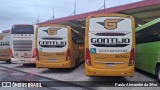 Empresa Gontijo de Transportes 19870 na cidade de São Sebastião da Bela Vista, Minas Gerais, Brasil, por Paulo Alexandre da Silva. Número da foto: #12589225.