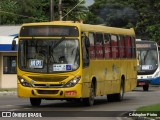 AVP - Auto Viação Paraíso 5292 na cidade de Aracaju, Sergipe, Brasil, por Cristopher Pietro. Número da foto: #:id.