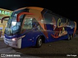 Forró Cavalo de Pau 5908 na cidade de Piripiri, Piauí, Brasil, por Otto Danger. Número da foto: #12592510.