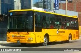 Metropolitano - Municipalidad de Lima 42078 na cidade de Carabayllo, Lima, Lima Metropolitana, Peru, por Anthonel Cruzado. Número da foto: #12591812.
