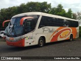 Viação Platina 6500 na cidade de Uberlândia, Minas Gerais, Brasil, por Vanderlei da Costa Silva Filho. Número da foto: #:id.