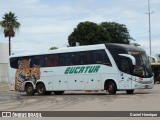 Eucatur - Empresa União Cascavel de Transportes e Turismo 4709 na cidade de Goiânia, Goiás, Brasil, por Daniel Henrique. Número da foto: #12591556.