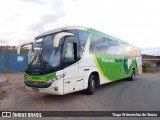 Pássaro Verde 1047 na cidade de Nova Lima, Minas Gerais, Brasil, por Tiago Wenceslau de Souza. Número da foto: #12594804.