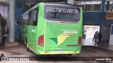 Pássaro Verde 20179 na cidade de Santa Bárbara, Minas Gerais, Brasil, por Antonio Silva. Número da foto: #12596183.