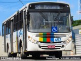 Transcol - Transportes Coletivos Ltda. 452 na cidade de Recife, Pernambuco, Brasil, por Wendel Miguel /MIGUELPHOTOBUS. Número da foto: #12595785.