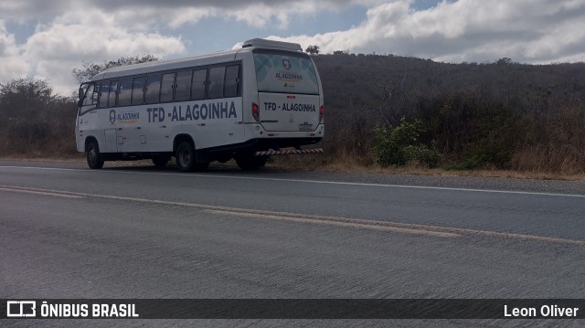 Prefeitura Municipal de Alagoinha 137 na cidade de Belo Jardim, Pernambuco, Brasil, por Leon Oliver. Número da foto: #12598382.