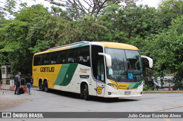 Empresa Gontijo de Transportes 15025 na cidade de São Paulo, São Paulo, Brasil, por Julio Cesar Euzebio Alves. Número da foto: #12598315.