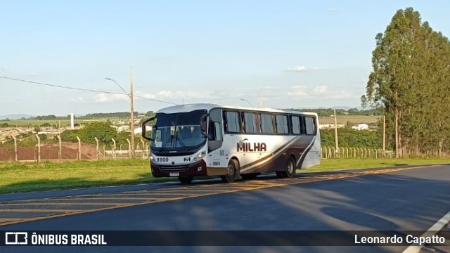 Milha 8900 na cidade de Holambra, São Paulo, Brasil, por Leonardo Capatto. Número da foto: #12596790.