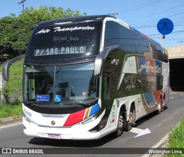 Arte Transportes e Turismo 23000 na cidade de Campinas, São Paulo, Brasil, por Wellington Lima. Número da foto: #12598465.