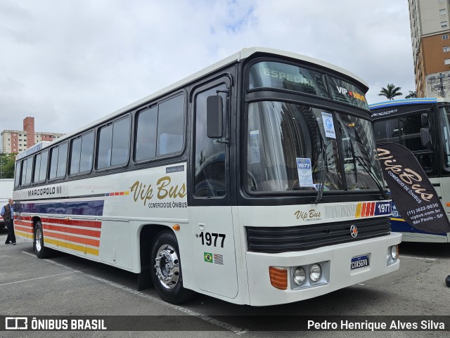 Vip Bus Comércio de Ônibus 1977 na cidade de Barueri, São Paulo, Brasil, por Pedro Henrique Alves Silva. Número da foto: #12596398.