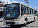 Borborema Imperial Transportes 231 na cidade de Jaboatão dos Guararapes, Pernambuco, Brasil, por André Luiz Araujo Silva. Número da foto: #12599003.