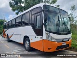 Paullus Tur 27122 na cidade de Ibirité, Minas Gerais, Brasil, por Vicente de Paulo Alves. Número da foto: #12598107.