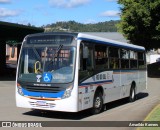 Expresso Taioense 530 na cidade de Rio do Sul, Santa Catarina, Brasil, por Amarildo Kamers. Número da foto: #12597698.