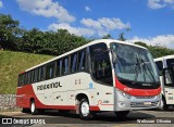 Rouxinol 2121 na cidade de Belo Horizonte, Minas Gerais, Brasil, por Welisson  Oliveira. Número da foto: #:id.