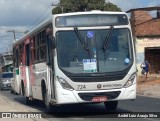 Borborema Imperial Transportes 724 na cidade de Jaboatão dos Guararapes, Pernambuco, Brasil, por André Luiz Araujo Silva. Número da foto: #12599052.