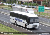 Prefeitura Municipal de Herculândia 1210 na cidade de Marília, São Paulo, Brasil, por Roberto Mendes. Número da foto: #12597590.