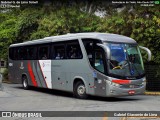 Empresa de Ônibus Pássaro Marron 91316 na cidade de São Paulo, São Paulo, Brasil, por Gabriel Giacomin de Lima. Número da foto: #12597622.