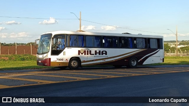 Milha 7900 na cidade de Holambra, São Paulo, Brasil, por Leonardo Capatto. Número da foto: #12601168.