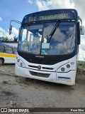 Araquém Tur 1056 na cidade de Muribeca, Sergipe, Brasil, por Rose Silva. Número da foto: #12601031.