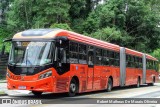 Viação Tamandaré KE703 na cidade de Curitiba, Paraná, Brasil, por Robert Matheus De Morais Oliveira. Número da foto: #12601110.