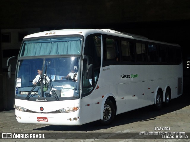 Pássaro Verde 3730 na cidade de Belo Horizonte, Minas Gerais, Brasil, por Lucas Vieira. Número da foto: #12532861.