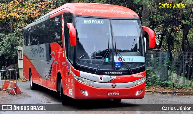 Empresa de Ônibus Pássaro Marron 5950 na cidade de São Paulo, São Paulo, Brasil, por Carlos Júnior. Número da foto: #12532349.