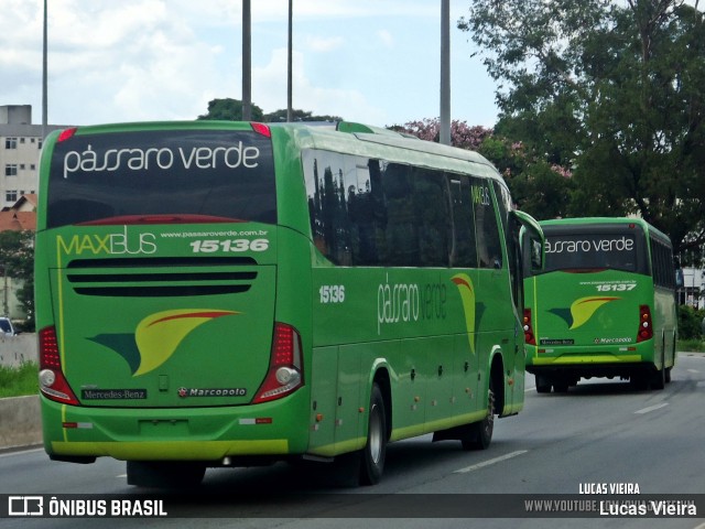 Pássaro Verde 15136 na cidade de Belo Horizonte, Minas Gerais, Brasil, por Lucas Vieira. Número da foto: #12532862.