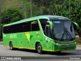 Pássaro Verde 15131 na cidade de Ponte Nova, Minas Gerais, Brasil, por Davi Neves. Número da foto: #12534340.