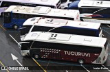 Tucuruvi Transportes e Turismo 8800 na cidade de Aparecida, São Paulo, Brasil, por Isaias Ralen. Número da foto: #:id.