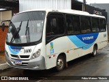 Vitoriano Turismo 1600 na cidade de Três Corações, Minas Gerais, Brasil, por Fábio Mateus Tibúrcio. Número da foto: #12532566.