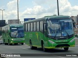 Pássaro Verde 15137 na cidade de Belo Horizonte, Minas Gerais, Brasil, por Lucas Vieira. Número da foto: #12532863.