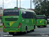 Pássaro Verde 15136 na cidade de Belo Horizonte, Minas Gerais, Brasil, por Lucas Vieira. Número da foto: #12532862.