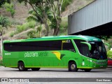 Pássaro Verde 16912 na cidade de Ponte Nova, Minas Gerais, Brasil, por Davi Neves. Número da foto: #12534336.