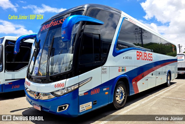 Brubuss Transportes 6000 na cidade de Barueri, São Paulo, Brasil, por Carlos Júnior. Número da foto: #12602559.