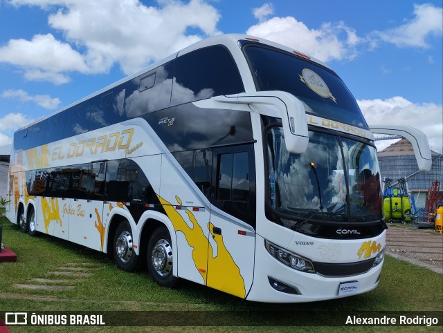Flota El Dorado  na cidade de Erechim, Rio Grande do Sul, Brasil, por Alexandre Rodrigo. Número da foto: #12603186.