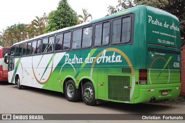 Viação Pedra do Anta 4390 na cidade de Urucânia, Minas Gerais, Brasil, por Christian  Fortunato. Número da foto: #12601560.
