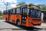 Transrosa 1701 na cidade de Lagoa Santa, Minas Gerais, Brasil, por Gabriel Costa Guimarães. Número da foto: #12601666.