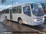 Ônibus Particulares 4427 na cidade de Brazlândia, Distrito Federal, Brasil, por Pietro Ribeiro. Número da foto: #12534949.