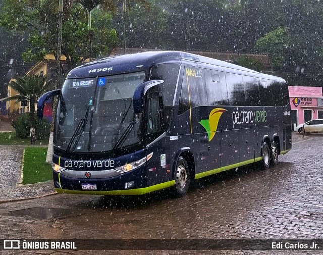 Pássaro Verde 16906 na cidade de Barão de Cocais, Minas Gerais, Brasil, por Edi Carlos Jr.. Número da foto: #12536711.