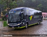 Pássaro Verde 16906 na cidade de Barão de Cocais, Minas Gerais, Brasil, por Edi Carlos Jr.. Número da foto: #12536711.